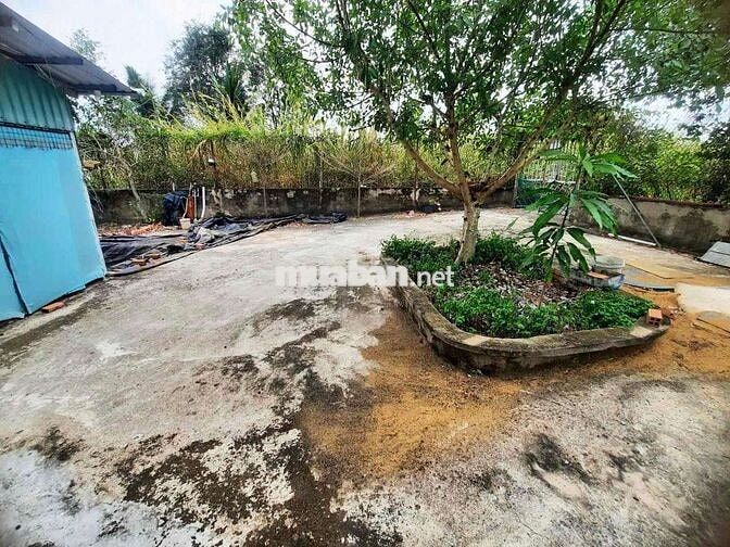 BÁN NHÀ YẾN 3 SÀN ĐANG KHAI THÁC