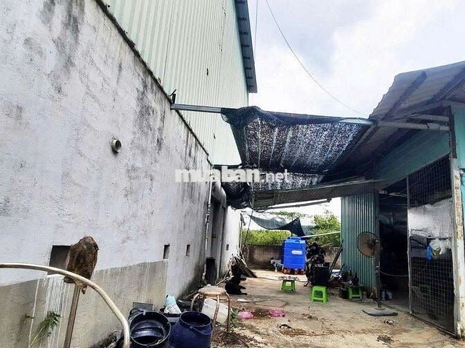 BÁN NHÀ YẾN 3 SÀN ĐANG KHAI THÁC