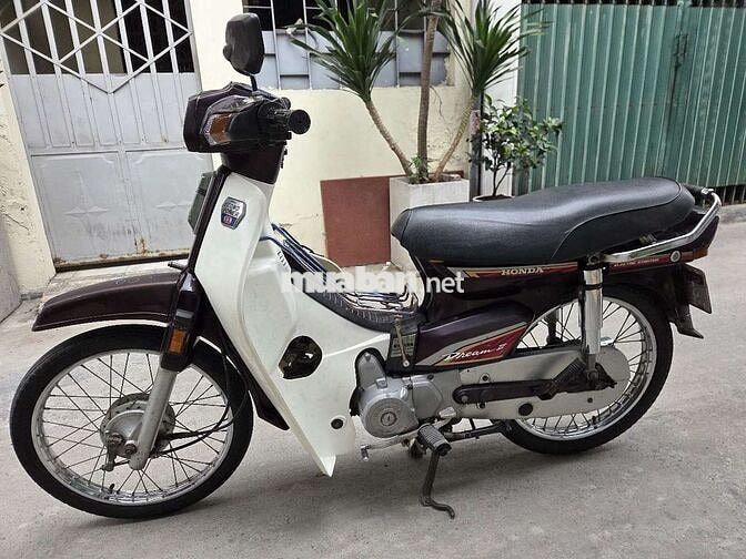 Honda Dream Nâu, Trắng