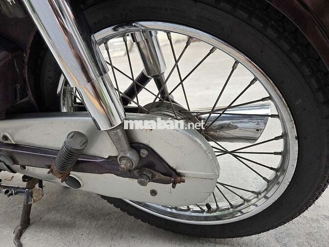 Honda Dream Nâu, Trắng