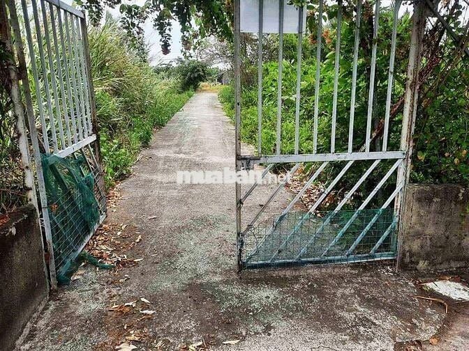 BÁN NHÀ YẾN 3 SÀN ĐANG KHAI THÁC