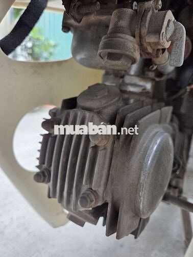 Honda Dream Nâu, Trắng