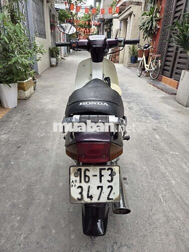 Honda Dream Nâu, Trắng