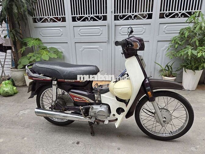 Honda Dream Nâu, Trắng