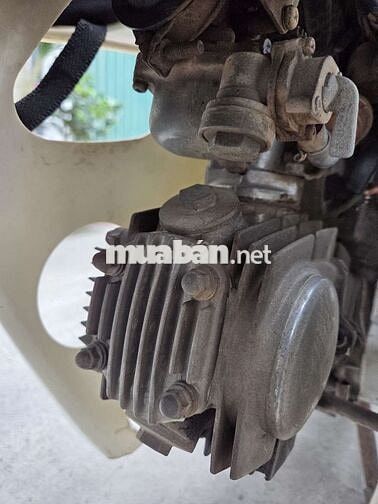 Honda Dream Nâu, Trắng