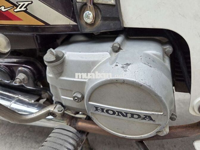 Honda Dream Nâu, Trắng