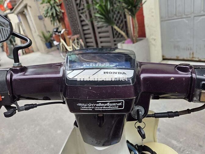 Honda Dream Nâu, Trắng
