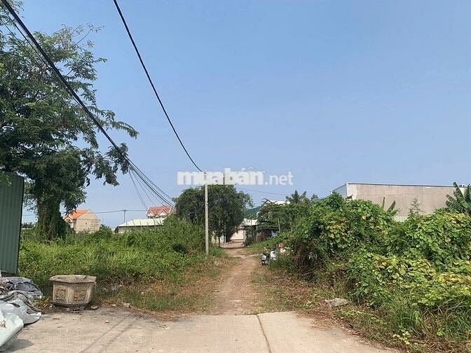Đất Nông Ngiệp Hẻm 8m Nguyễn Văn Ràng,Phước Lộc.SHR-Giá Chỉ 1ty3