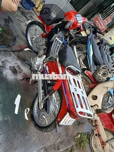 Honda Citi màu Đỏ co giay to