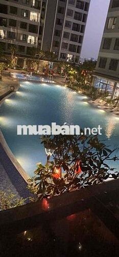 The Rivava căn 1PN sổ hồng chính chủ