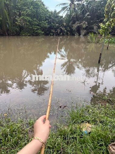 Cho thuê phòng trọ giá rẻ tại Hoà Hưng quận 10