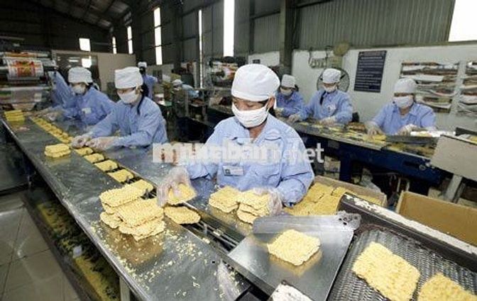 CÓ LƯƠNG TUẦN-10-13TR-QUẬN 12-HCM-SX MÌ GÓI-PHỞ