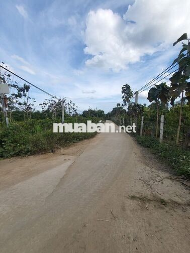 300m mặt tiền đường bê tông, xung quanh bám Suối wiu bán đảo có 102