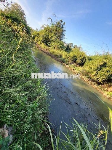 300m mặt tiền đường bê tông, xung quanh bám Suối wiu bán đảo có 102