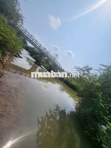 300m mặt tiền đường bê tông, xung quanh bám Suối wiu bán đảo có 102