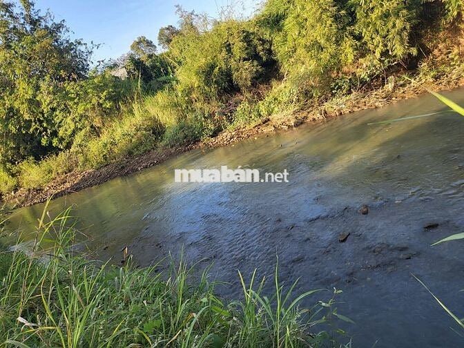 300m mặt tiền đường bê tông, xung quanh bám Suối wiu bán đảo có 102
