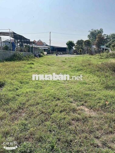 Bán gấp đất giá mềm 780 triệu 500m2 ngay Bến Cát, đầu tư siêu hời