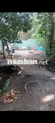 Bán lô đất hẻm An Sơn 56 An Sơn Thuận An Bình Dương