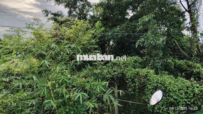 Đất Phường, Tân An,TP Thủ Dầu Một,Bình Dương(phường Phú An-TPHCM)