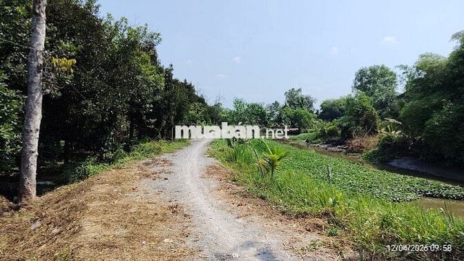 Đất Phường, Tân An,TP Thủ Dầu Một,Bình Dương(phường Phú An-TPHCM)