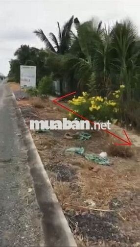 🌳 ĐẤT NHÀ VƯỜN "VIEW KÊNH" - MẶT TIỀN NHỰA ĐH.18 - SẴN THỔ CƯ