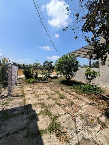 Đất thô cư 100%. Xung quanh dân ở nhìu. Thích hợp anh chị mua để dành.