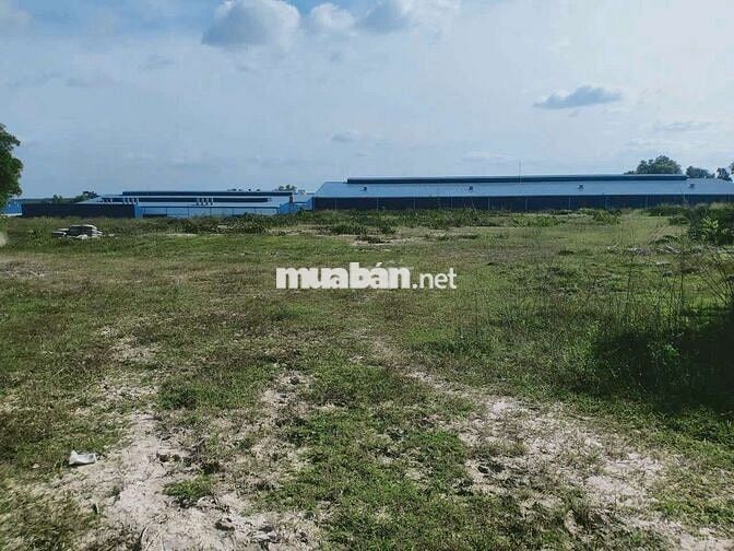 Bán 4.1ha skc full xã Đất Cuốc Bắc Tân Uyên Bình Duingw