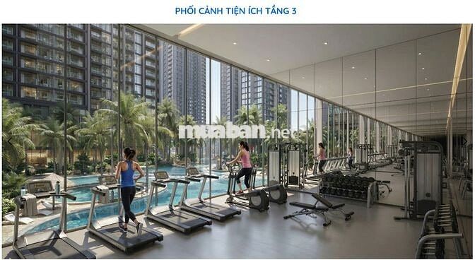 Alluvia City 4 căn 3PN GÓC tầm nhìn "đắt giá" hơn thước phim điện ảnh
