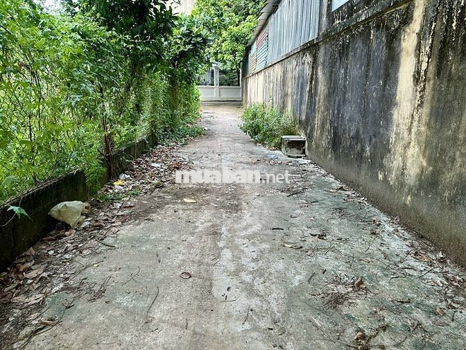 Bán 131m2 đất Đồi 1, Đông Phương Yên, Chương Mỹ - Cách QL6 chỉ 100m