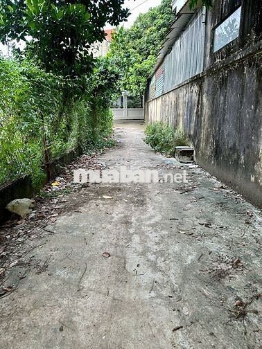Bán 131m2 đất Đồi 1, Đông Phương Yên, Chương Mỹ - Cách QL6 chỉ 100m