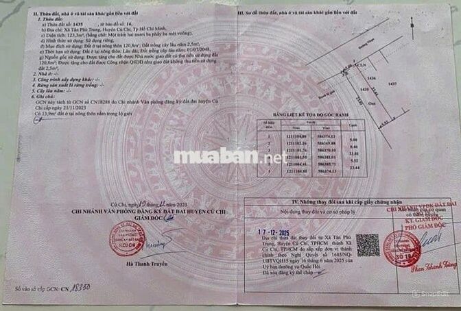 chủ cần bán gấp căn nhà 123m2 đường Võ Thị Nhúa Tân Phú Trung Củ Chi