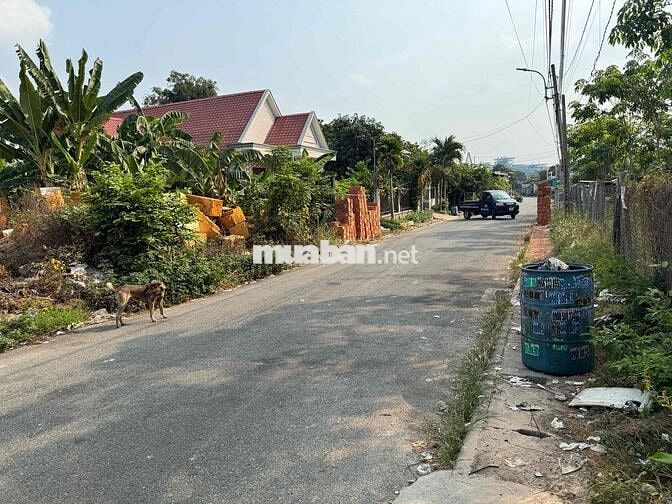 lô đất ngay cổng bệnh viện mỹ phước bán gấp
