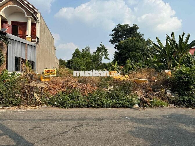lô đất ngay cổng bệnh viện mỹ phước bán gấp
