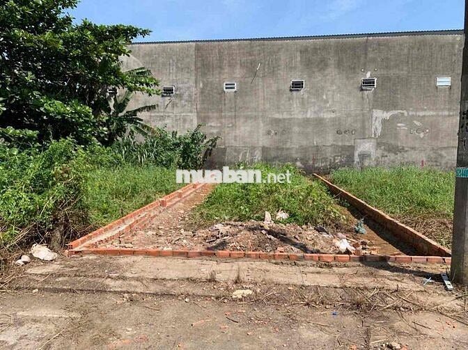 LÔ ĐẤT ĐẸP ĐƯỜNG 8 M THẠNH XUÂN 52 SÁT MẶT TIỀN GIÁ TỐT