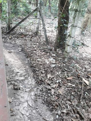 BÁN ĐẤT 5466M2 PHƯỜNG HOÀ LỢI, GẦN KHU DU LỊCH ĐẠI NAM GIÁ TÓT 12,5 TỶ