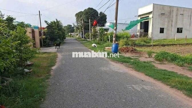 đất Chính chủ 5X26 thổ 117m, DT 130m, Tân thông hội,  gần ủy ban Xã 