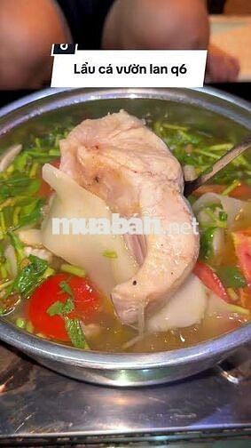 TUYỂN NỮ NHÂN VIÊN PHỤC VỤ