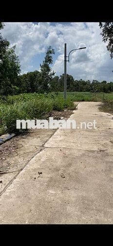 BÁN ĐẤT THỔ CƯ XÓM CÔNG ĐIỀN, LONG CANG, CẦN ĐƯỚC