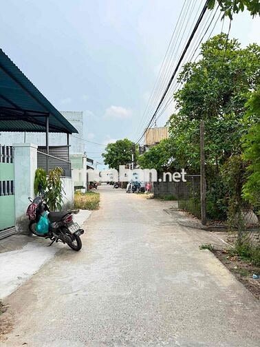 Đất kiệt Trần Hưng Đạo Điện Ngọc