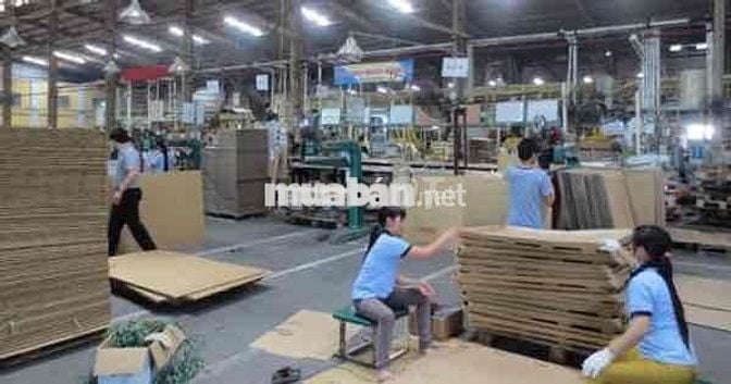 CÔNG TY BAO BÌ EPE - TUYỂN LĐPT