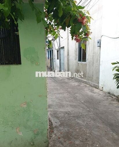 Bán nhà đường Ba Cu, thành phố Vũng Tàu