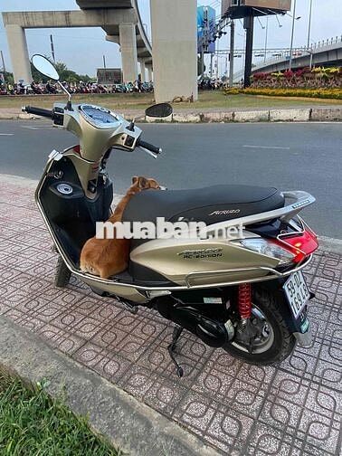 tôi bán xe acurzo màu vàng chính chủ