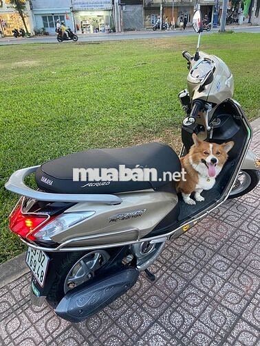 tôi bán xe acurzo màu vàng chính chủ