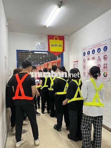 THỜI VỤ LƯƠNG TUẦN, CHỈ CẦN CCCD, LIÊN HỆ NGAY