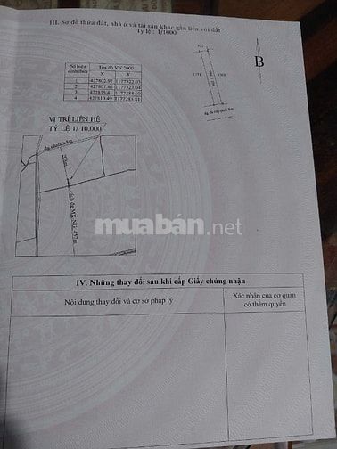 ĐẤT ĐẸP HẮC DỊCH – ĐƯỜNG NHỰA 8M – GIÁ TỐT