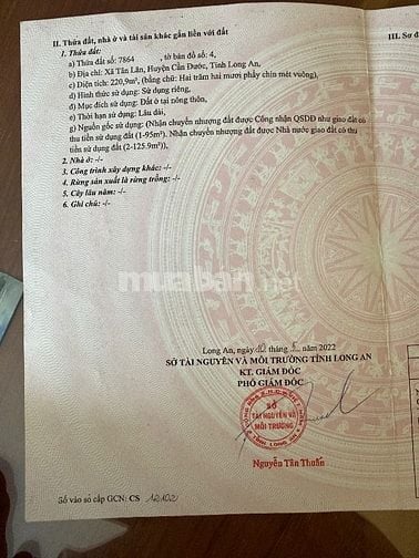 Cần bán đất thổ cư xã Tân lân đường 19/5