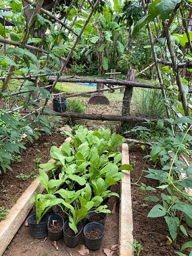 CẦN CHUYỂN NHƯỢNG ĐẤT VƯỜN NGHỈ DƯỠNG VEN HỒ TRỊ AN THƠ MỘNG