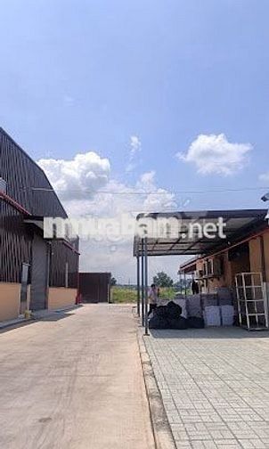  [TAM PHƯỚC, LONG THÀNH] CÔNG NHÂN XƯỞNG SẢN XUẤT
