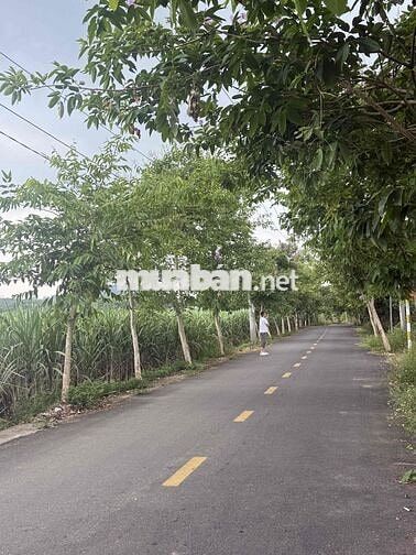 Chính chủ cần bán lô đất nhà vườn 2 mặt tiền kiệt oto
