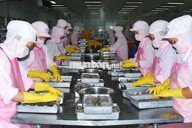 TUYỂN LAO ĐỘNG THỜI VỤ ĐỨC - THỜI HẠN 8 THÁNG
